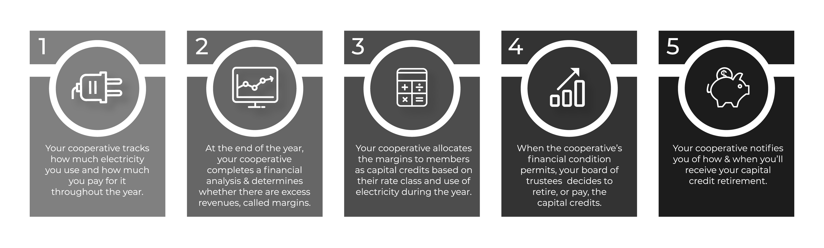 An illustrated version that explains how capital credits work.