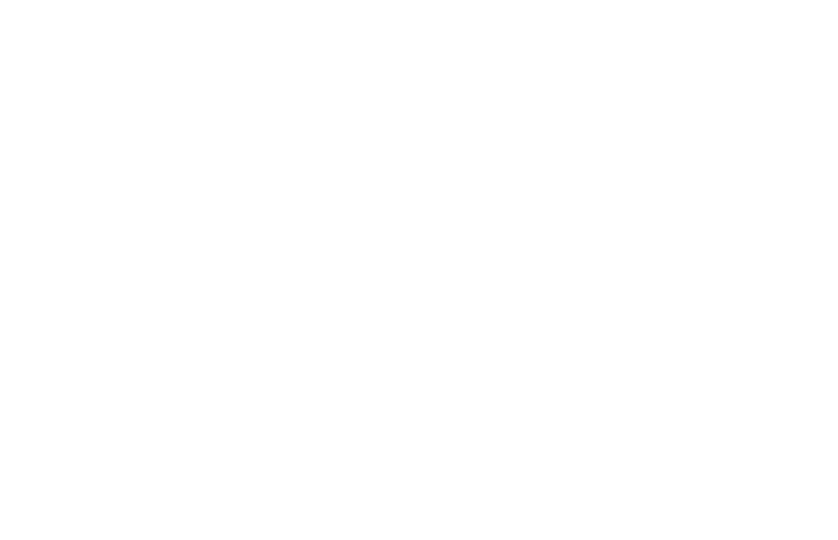 Victory Logo White