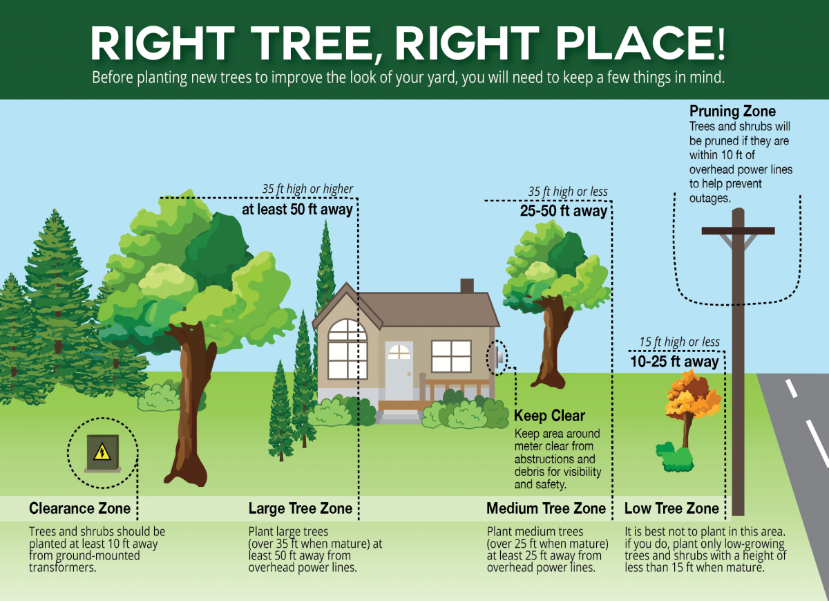 Right-Tree-Right-Place-02.png